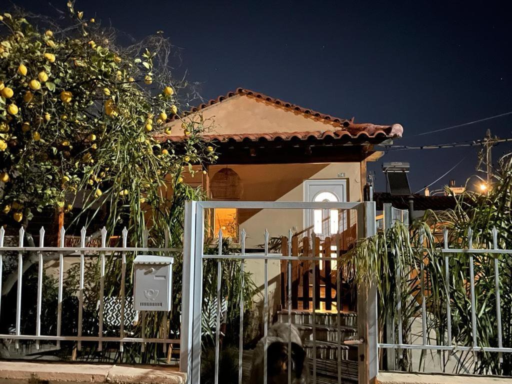 Agapi Home Agios Spyridon  Bagian luar foto
